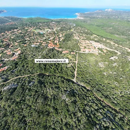 Tramonto, רנה מג'ורה